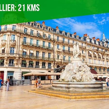 Le Palais Maya - Lumineux - Wifi La Grande-Motte Eksteriør billede