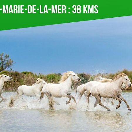 Le Palais Maya - Lumineux - Wifi La Grande-Motte Eksteriør billede