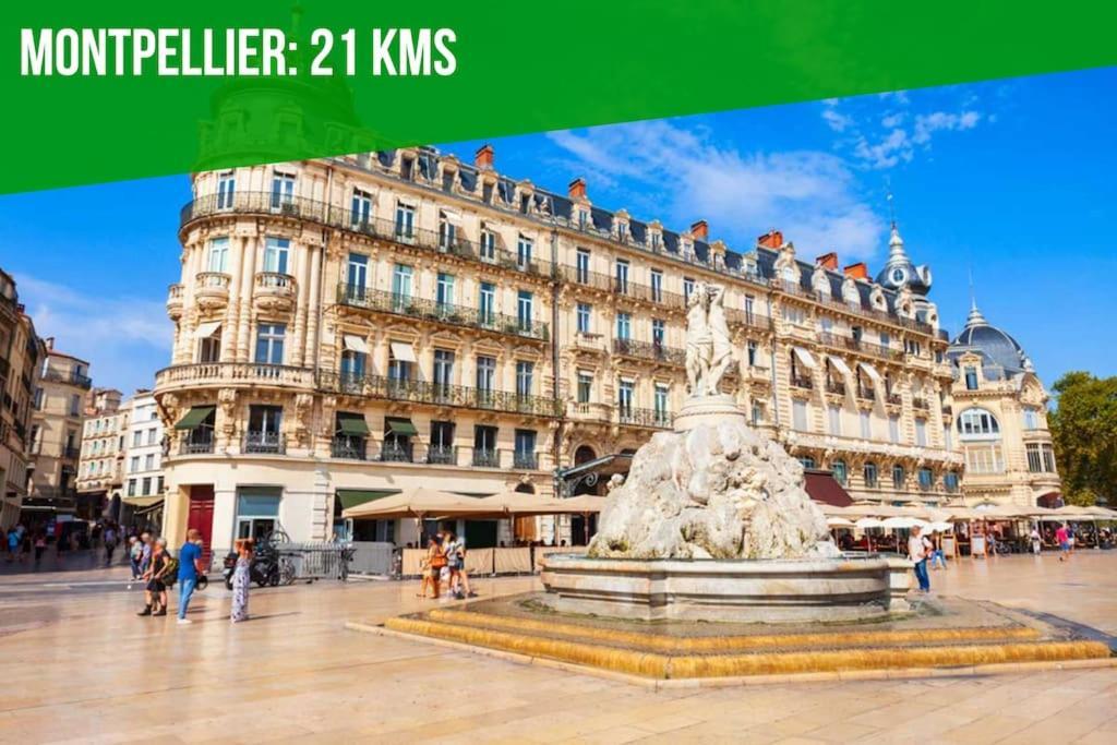 Le Palais Maya - Lumineux - Wifi La Grande-Motte Eksteriør billede